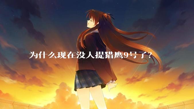 为什么现在没人提猎鹰9号了？