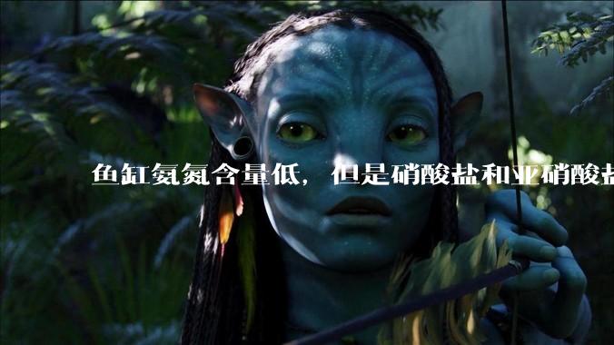 鱼缸氨氮含量低，但是硝酸盐和亚硝酸盐爆表，已经一个多周了，咋办？